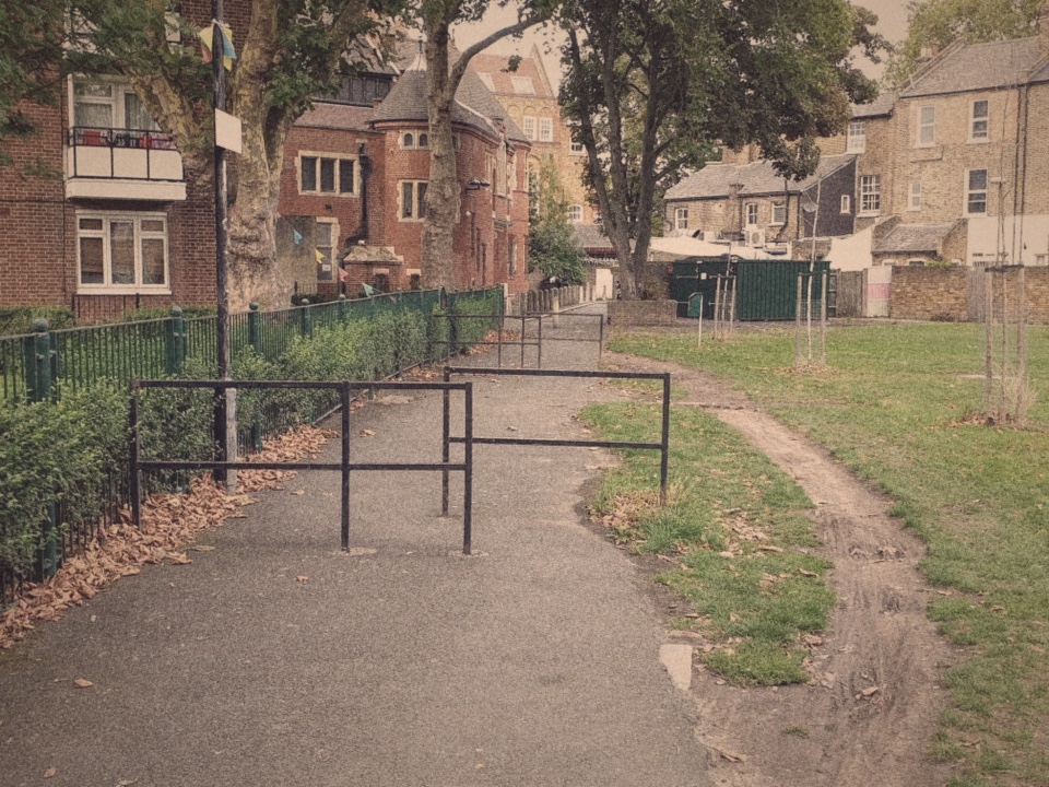 Desire path