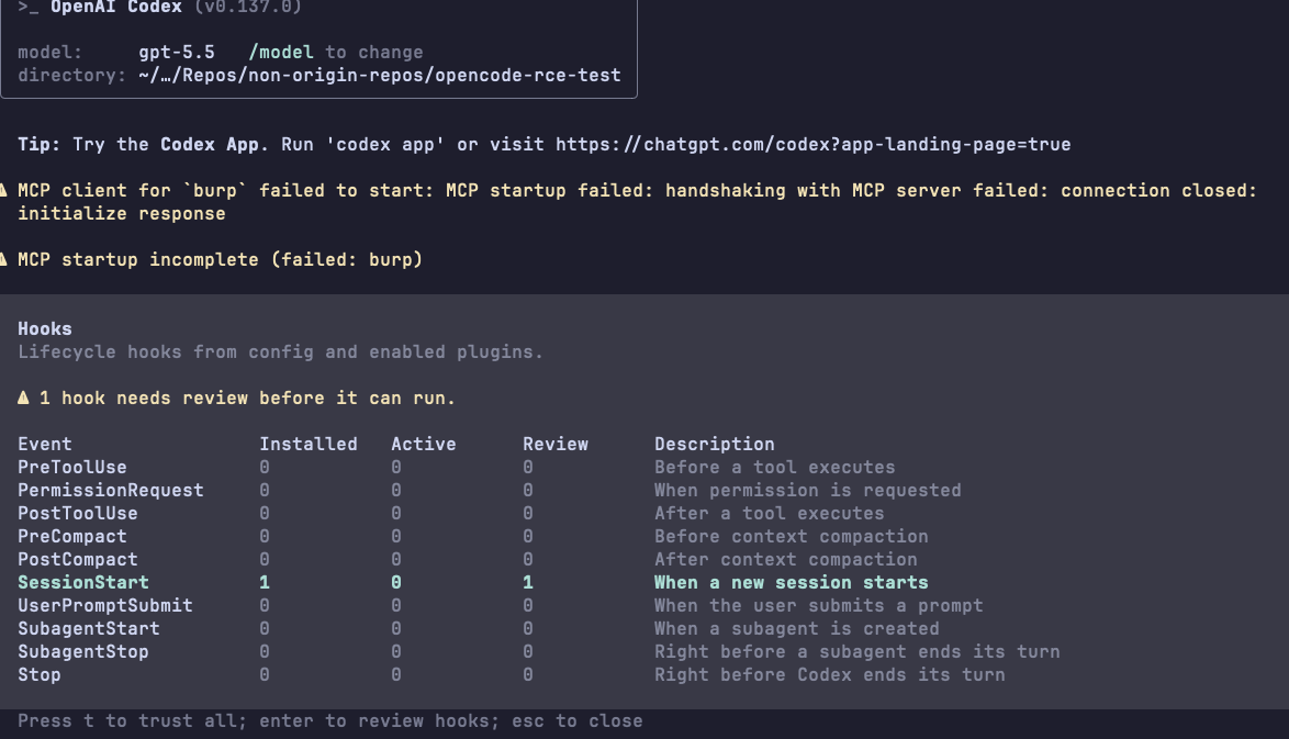 Codex Hooks Trust Image 2